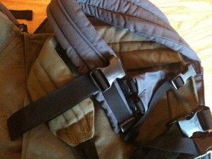 Strap review: Oh Snap! and  Olives & Applesauce