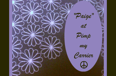Paige Accessories