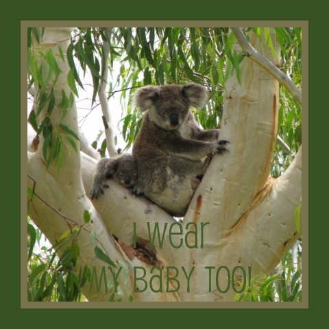 PAXbaby babywearing koala blog