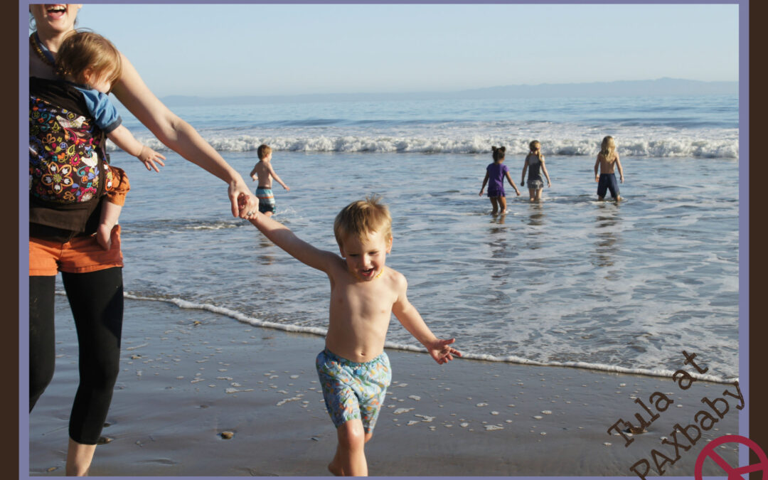 Custom Tula Baby Carrier Stocking at PAXbaby.com #3