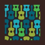 Butterfly II Custom Edition "Dylan Guitars" by Pimp my Carrier