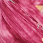 Alice GypsyMama wrap