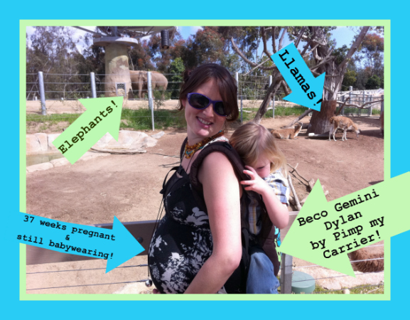 Zoo Babywearing